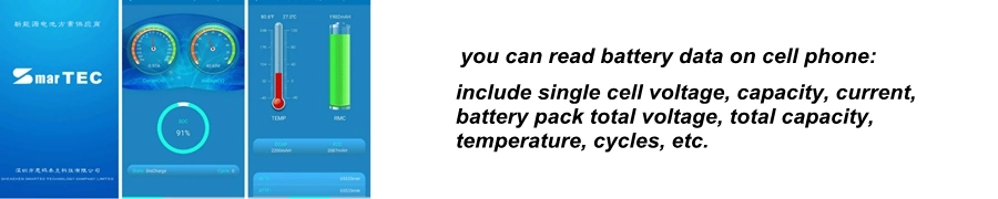 Manufacturer Direct Supply 48V20ah Lawn Mower Lithium Battery 24V Tea Picker/Garden Lawn Mower Special Power Tools Battery